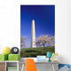 Washington Monument Wall Mural