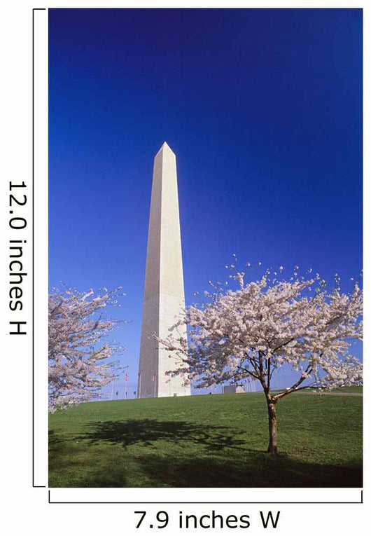 Washington Monument Wall Mural