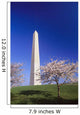 Washington Monument Wall Mural