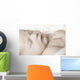 Baby Sleeping Wall Mural