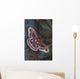 Cecropia Moth On Leaves Wall Mural
