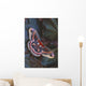Cecropia Moth On Leaves Wall Mural