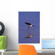 Black-Necked Stilt Bird Foraging In Water Wall Mural