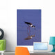 Black-Necked Stilt Bird Foraging In Water Wall Mural