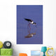 Black-Necked Stilt Bird Foraging In Water Wall Mural
