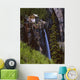 Old Power Station And Bridal Veil Falls Wall Mural