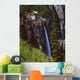 Old Power Station And Bridal Veil Falls Wall Mural
