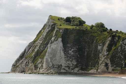 Dover Wall Decal