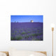 Lavender Field In Southern France Wall Mural