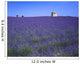 Lavender Field In Southern France Wall Mural
