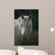 Pferd Wall Mural