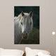 Pferd Wall Mural
