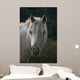 Pferd Wall Mural
