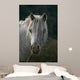 Pferd Wall Mural