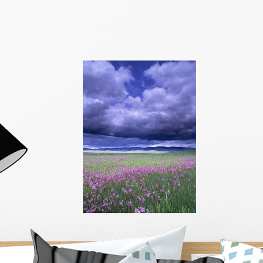 Stormy Clouds Approaching Field Of Shooting Star Wildflowers Wall Mural