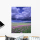 Stormy Clouds Approaching Field Of Shooting Star Wildflowers Wall Mural