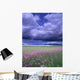 Stormy Clouds Approaching Field Of Shooting Star Wildflowers Wall Mural