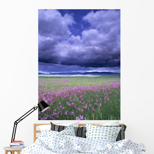 Stormy Clouds Approaching Field Of Shooting Star Wildflowers Wall Mural