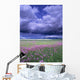 Stormy Clouds Approaching Field Of Shooting Star Wildflowers Wall Mural