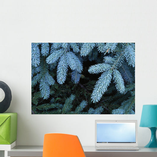 Frozen Pine Needles Wall Mural