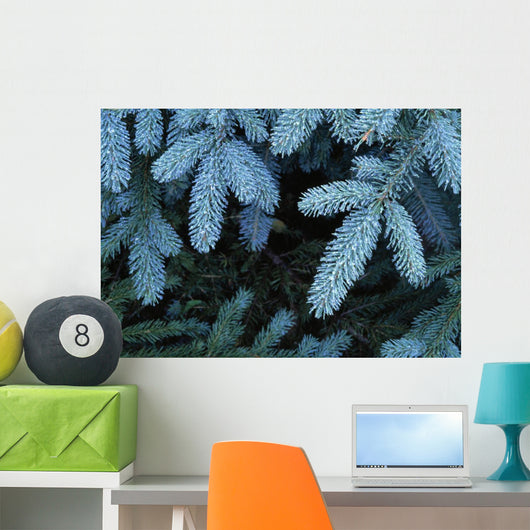 Frozen Pine Needles Wall Mural