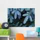 Frozen Pine Needles Wall Mural
