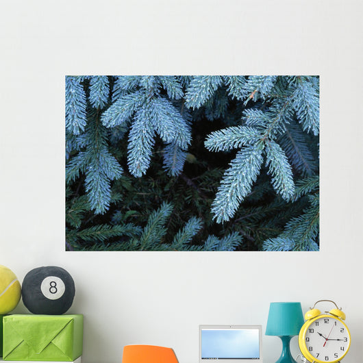 Frozen Pine Needles Wall Mural
