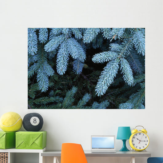 Frozen Pine Needles Wall Mural