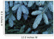 Frozen Pine Needles Wall Mural