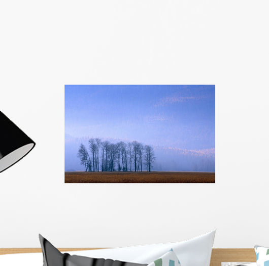 Silhouetted Cottonwood Trees Wall Mural