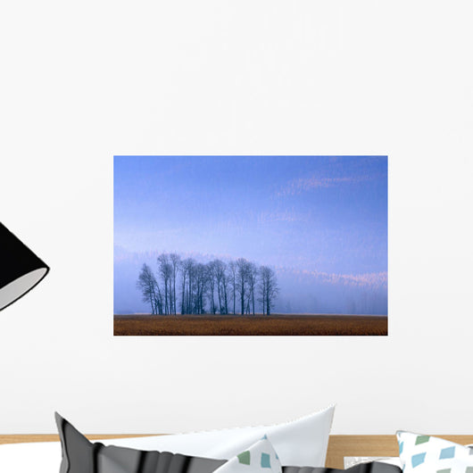 Silhouetted Cottonwood Trees Wall Mural