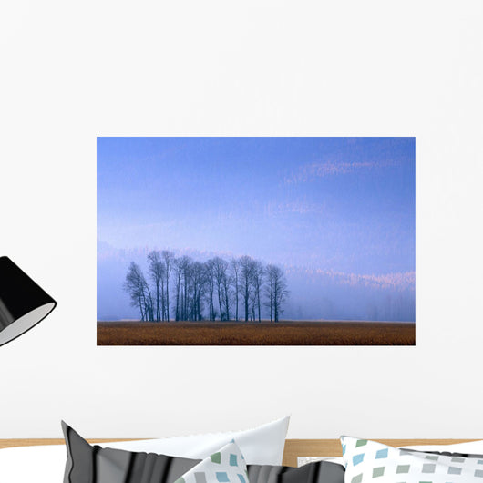Silhouetted Cottonwood Trees Wall Mural