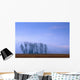 Silhouetted Cottonwood Trees Wall Mural