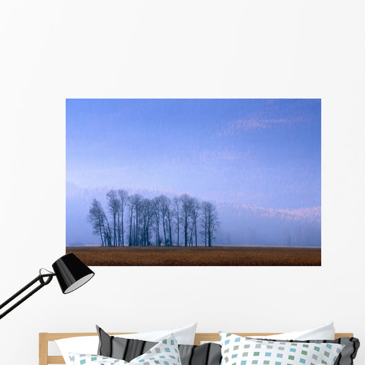 Silhouetted Cottonwood Trees Wall Mural