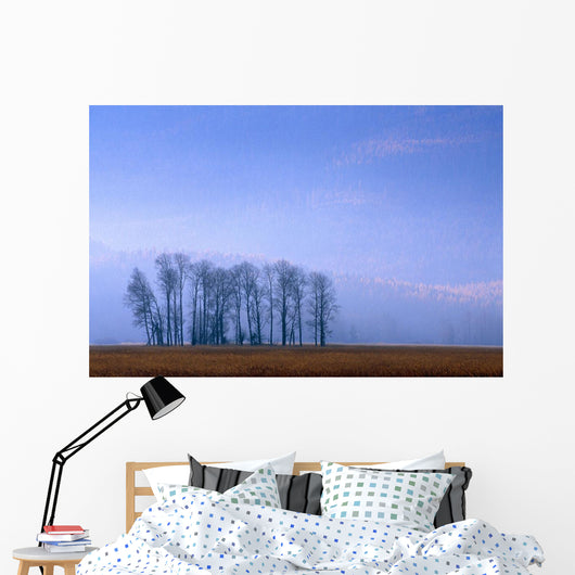 Silhouetted Cottonwood Trees Wall Mural