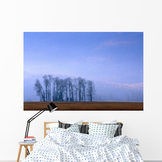 Silhouetted Cottonwood Trees Wall Mural