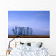 Silhouetted Cottonwood Trees Wall Mural
