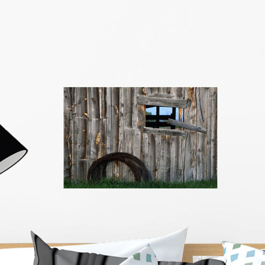 Roll Of Barbed Wire On Weathered Barn Wall Mural