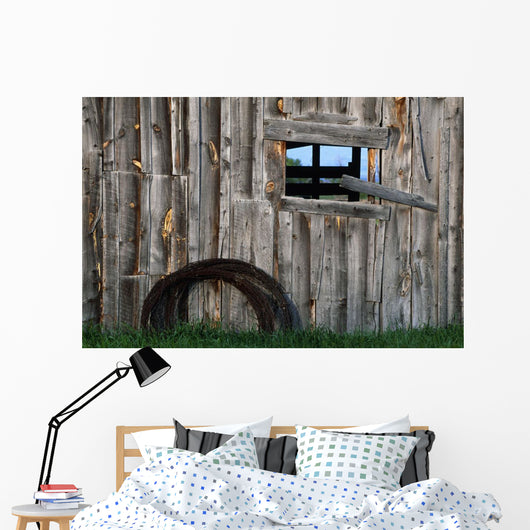 Roll Of Barbed Wire On Weathered Barn Wall Mural