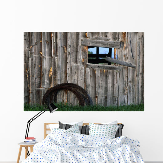 Roll Of Barbed Wire On Weathered Barn Wall Mural
