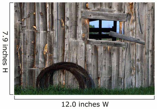 Roll Of Barbed Wire On Weathered Barn Wall Mural