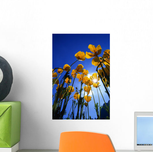 Yellow Poppies Wall Mural