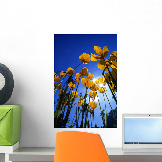 Yellow Poppies Wall Mural