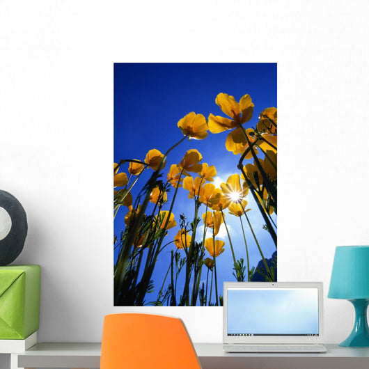 Yellow Poppies Wall Mural