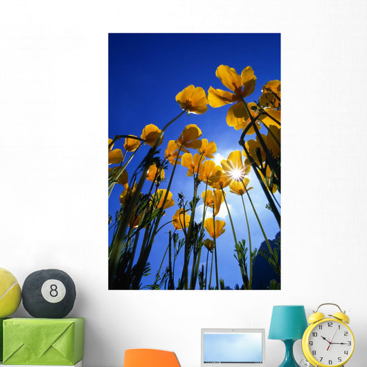 Yellow Poppies Wall Mural