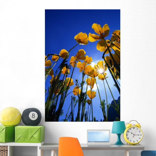 Yellow Poppies Wall Mural