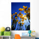 Yellow Poppies Wall Mural