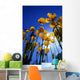 Yellow Poppies Wall Mural