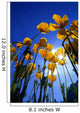 Yellow Poppies Wall Mural