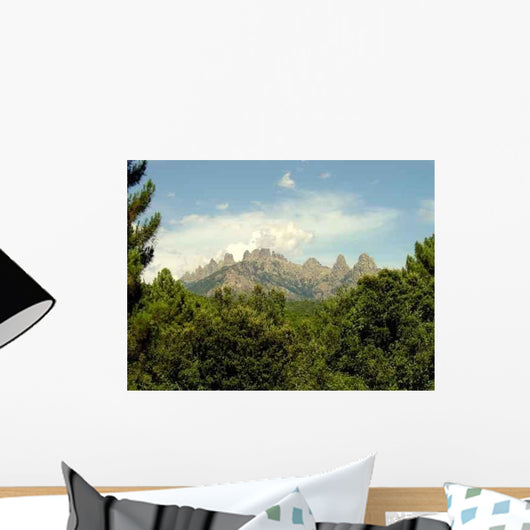 From Auguilles Bavella South Wall Decal Design 2